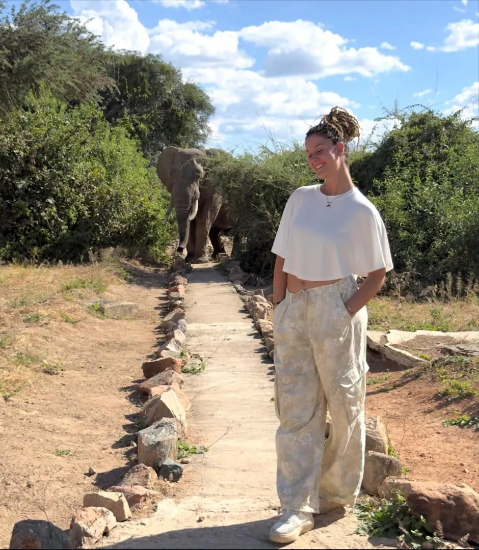 Guest face to face with an elephant