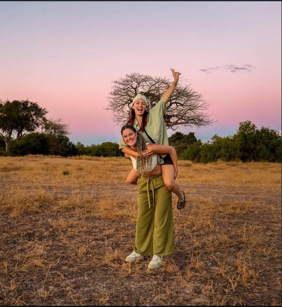 Acacia tree at sunset on the Tanzanian savanna