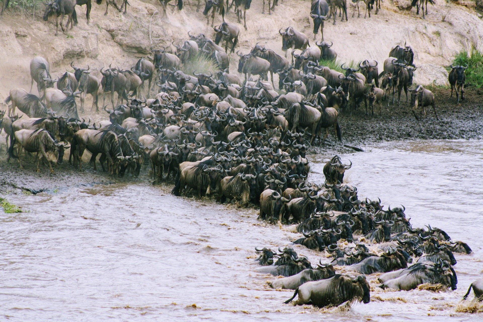 10 Days Safari Calving Migration and Culture