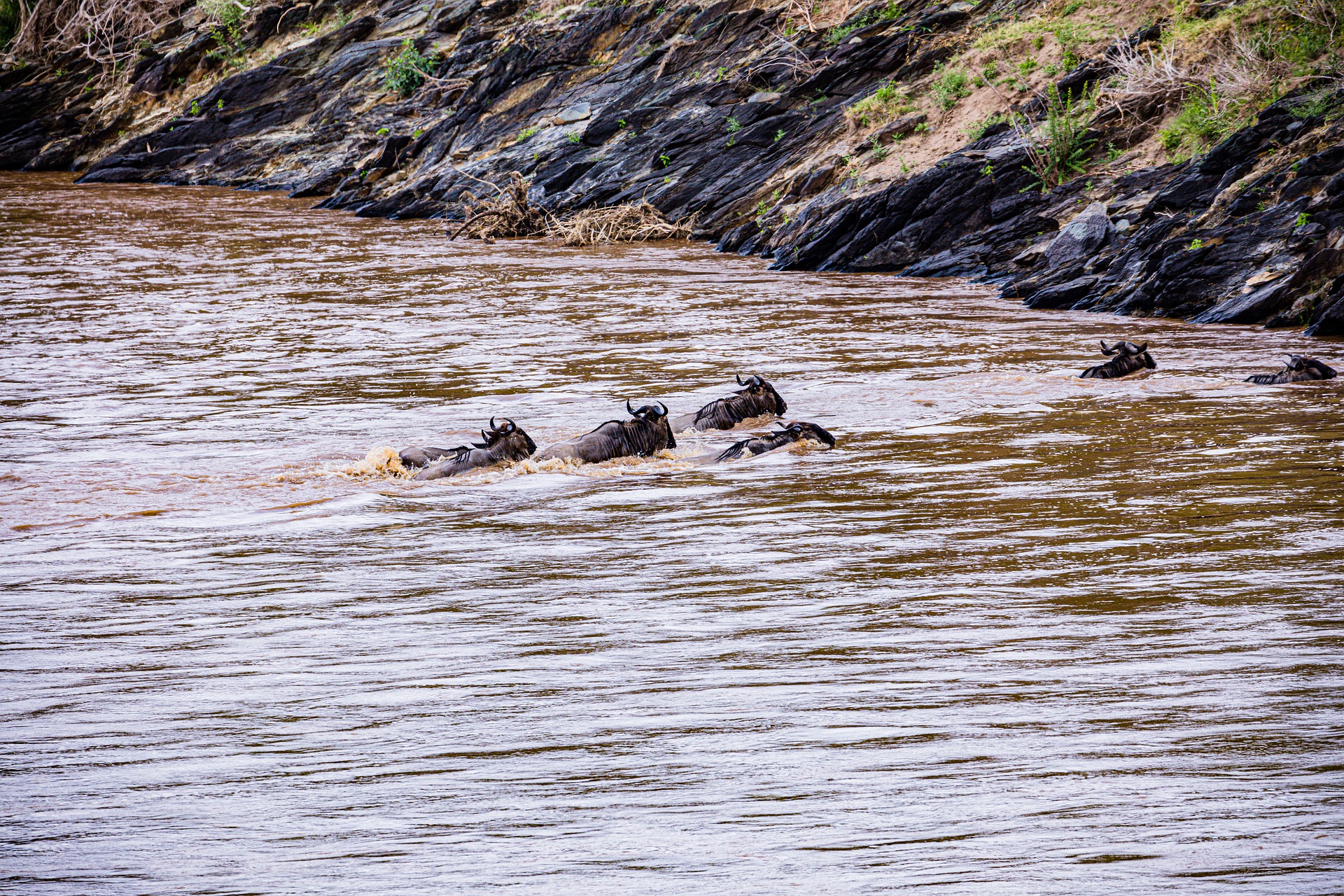 4 Days Safari in Ndutu