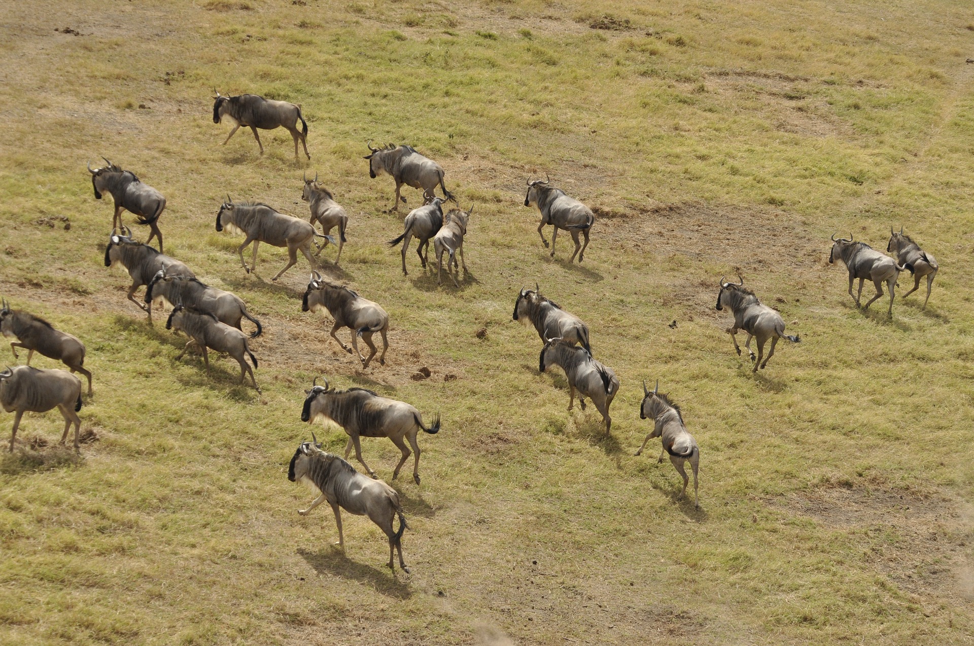 10 Days Southern Serengeti Safari